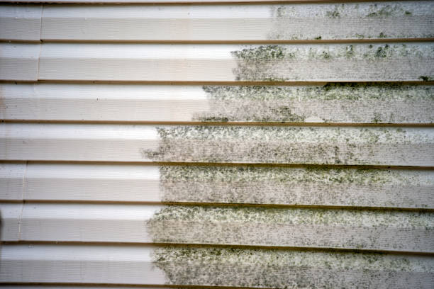 Best Siding Removal and Disposal  in Greenwood, PA