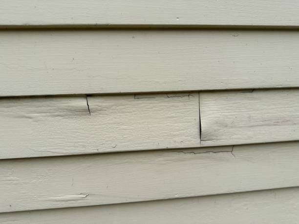 Best Siding Painting and Refinishing  in Greenwood, PA